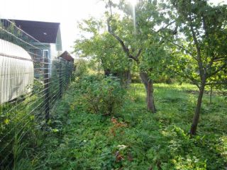 Продам кирпичный дом имеется охрана в садовом некоммерческом товариществе фото 13 Конаково