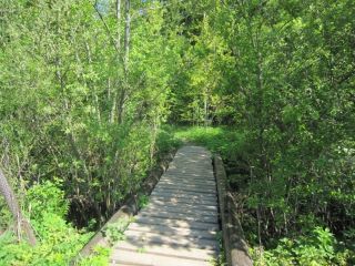 Продам кирпичный дом рядом река фото 4 Конаково