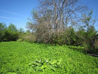 Продается участок земли фото 9 Конаково