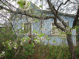 Продам кирпичный дом в садовом некоммерческом товариществе есть теплица фото Конаково