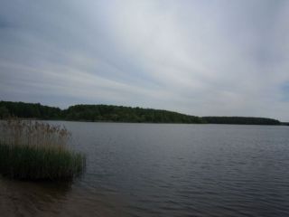 Продам кирпичный дом в садовом некоммерческом товариществе есть теплица фото 3 Конаково