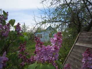 Продам кирпичный дом в садовом некоммерческом товариществе есть теплица фото 5 Конаково