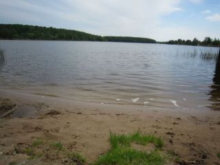 Продам кирпичный дом в садовом некоммерческом товариществе есть теплица фото 9 Конаково