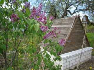 Продам кирпичный дом в садовом некоммерческом товариществе есть теплица фото 10 Конаково