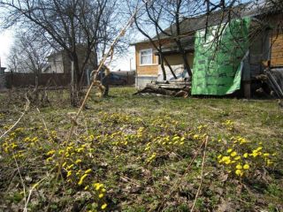 Продаю кирпичный дом есть документы взрослый собственник фото 17 Конаково