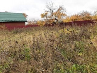 Продаю земельный участок документы на руках круглогодичный подъезд фото 5 Конаково