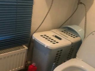 Продаю деревянный дом видеонаблюдение установлены пластиковые окна фото 8 Бийск