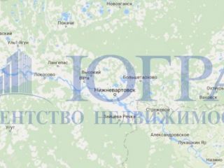 Продаю трехкомнатную квартиру пластиковые окна фото 6 Нижневартовск