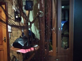 Продам 2 комнатную квартиру свежий ремонт фото 5 Пенза