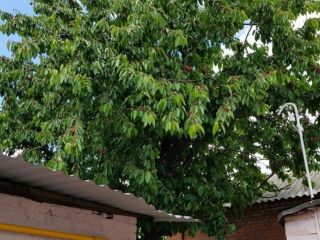 Продается кирпичный дом внутри города без посредников фото 9 Ростов-на-Дону