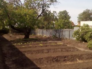 Продается кирпичный дом асфальтная дорога фото 6 Ростов-на-Дону