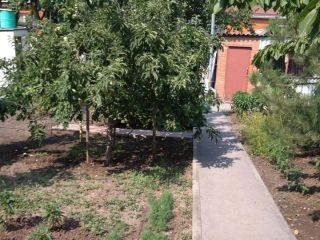 Продается кирпичный дом хорошее состояние с мебелью фото 14 Таганрог