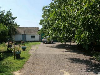 Продается кирпичный дом имеется скважина есть баня фото 5 Таганрог