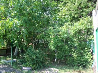 Продается кирпичный дом имеется скважина есть баня фото 15 Таганрог