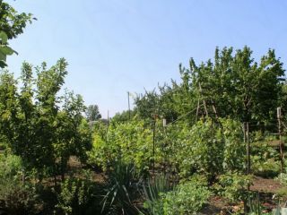 Продается кирпичный дом имеется скважина есть баня фото 16 Таганрог