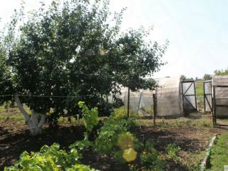 Продается кирпичный дом имеется скважина есть баня фото 17 Таганрог