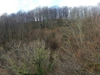 Продается 2 комнатная квартира черновая отделка фото 22 Сочи