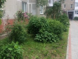 Продаю двухкомнатную квартиру фото 13 Светлогорск