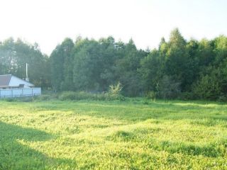 Продам кирпичный дом имеется скважина имеется баня фото 2 Западная Двина