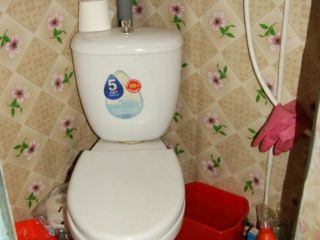 Продам кирпичный дом имеется скважина имеется баня фото 3 Западная Двина