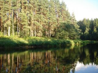 Продаю кирпичный коттедж c артезианской водой фото 15 Западная Двина