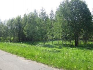 Продаю кирпичный дом рядом асфальт есть документы фото 9 Андреаполь