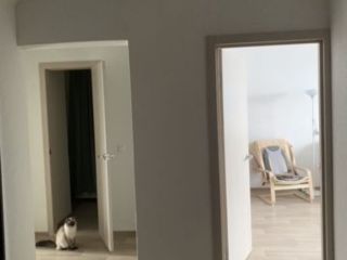 Продается 3 комнатная квартира свежий ремонт фото 2 Воронеж