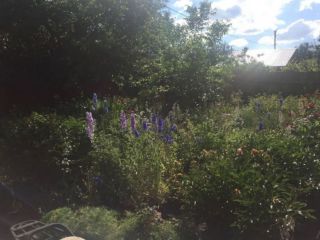 Продам кирпичный дом фото 15 Семилуки