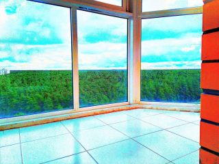 Люкс у озера рядом с лесом в Кутузово фото 5 Подольск