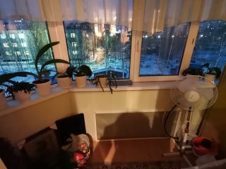 Продам трехкомнатную квартиру чистый подъезд документы в полном порядке фото 13 Нижневартовск