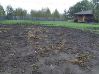 Продается кирпичный дом с мебелью есть баня фото 7 Нижневартовск