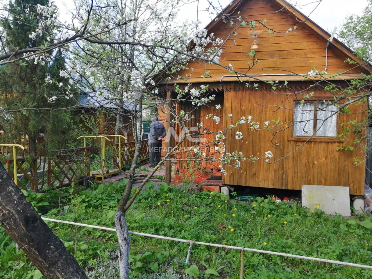 Дачи снт сосна. СНТ сосны Ногинск. Ногинск деревня Починки СНТ сосны. СНТ сосны Пенза. СНТ сосна с. красное.