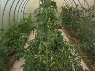 Продается деревянный дом имеется баня асфальтная дорога фото 15 Марфино