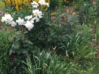 Продается деревянный дом имеется баня асфальтная дорога фото 16 Марфино