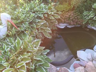 Продается деревянный дом имеется баня асфальтная дорога фото 17 Марфино