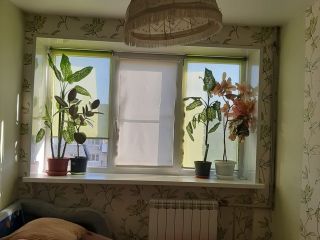 Продаю трешку установлены натяжные потолки хорошее состояние фото 3 Волгоград