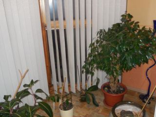 Продается 4 комнатная квартира свежий ремонт с мебелью фото Кемерово