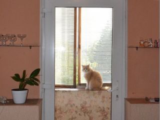 Продается четырехкомнатная квартира есть документы фото 8 Севастополь