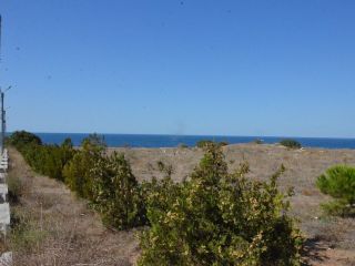 Продаю земельный участок с коммуникациями на первой линии фото 14 Севастополь