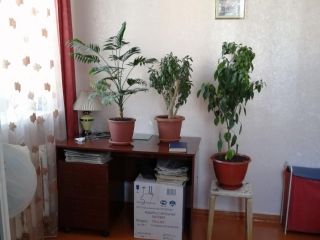 Продаю 3 комнатную квартиру свежий ремонт фото 5 Октябрьский