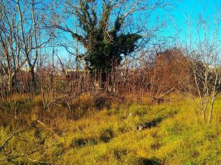 Продаю участок земли в центре города в садовом некоммерческом товариществе фото 2 Севастополь