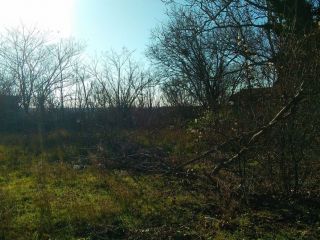 Продаю участок земли в центре города в садовом некоммерческом товариществе фото 7 Севастополь