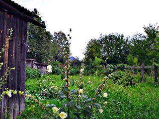 Продается деревянный дом фото 4 Польцо