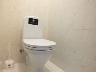 Продаю кирпичный дом с плодоносящим садом фото 8 Ростов-на-Дону