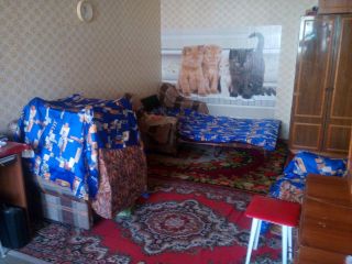 Продаю 1 комнатную квартиру свежий ремонт фото 5 Ростов-на-Дону