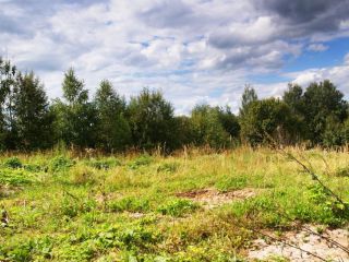 Продается участок земли рядом асфальт удобное расположение фото 5 Волоколамск