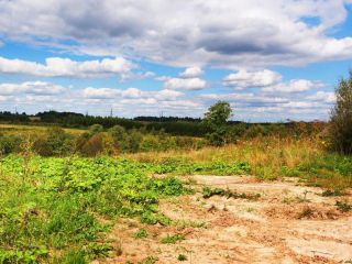 Продается участок земли рядом асфальт удобное расположение фото 6 Волоколамск