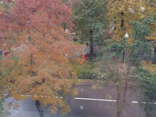 Продается двухкомнатная квартира кирпичный фото 30 Кемерово