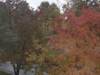 Продается двухкомнатная квартира кирпичный фото 31 Кемерово