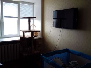 Продам трехкомнатную квартиру косметический ремонт хорошее состояние с мебелью фото 17 Новочебоксарск